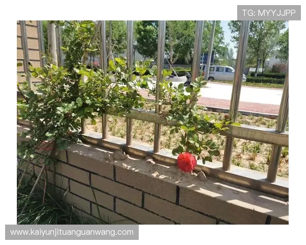 开云体育ping值监测与调节的完整操作流程，确保每一场比赛都顺畅无延迟